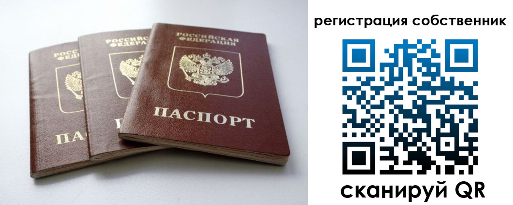 прописка для школы в Калининградской области